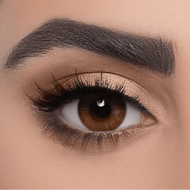 DAHAB DAILY WEAR LENSES GOLD COLLECTION